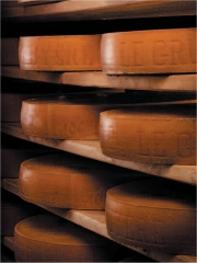 Gruyère AOP suisse
Photo : DR