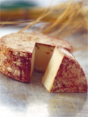 Tomme de chèvre de Savoie
Photo : Nicolas Louis pour le CIFC