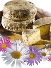 Pedro Studio Photo
Crédit Photo : © Pedro Studio Photo