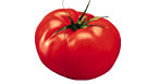 Tomates côtelées