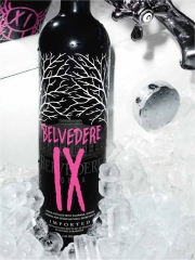 Vodka Belvedere IX
(Photo : © Terry Richardson)