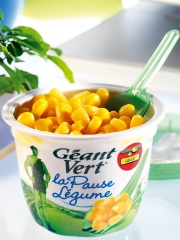 Ce maïs doux est sans OGM...