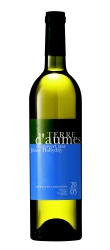 Terre d'Aumes Blanc 2005