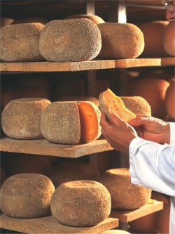 Mimolette extra-vieille &laquo;&nbsp;Grande Réserve&nbsp;&raquo;par Isigny Sainte Mère