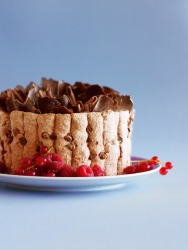 Charlotte au Chocolat - Picard