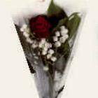 C'est le moment d'offrir du muguet