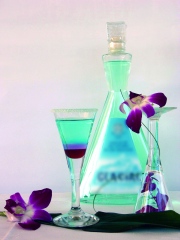 Cocktail Aube Glaciale
Photo : © Syndicat Français des Liqueurs