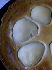 Tarte Bourdaloue
Photo : © Cooking2000