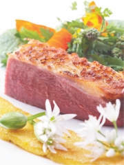 Canette Rôtie, Griesknepfles (Polenta) aux Boutons d'Ail des Ours, Salade d'Herbes et Fleurs de la Nature
Photo : © CICAR