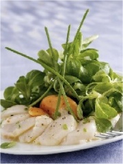 Carpaccio de Saint-Jacques et son lit de mâche
Photo : © Christian Adam