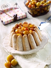 Recette Charlotte aux Mirabelles de Lorraine
