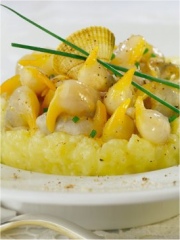 Coques en crème de pomme de terre muscadée 
Photo : © Philippe Asset / CNC