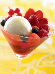 Les glaces, la star de l'été 2009
Photo : © SFIG