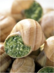 Escargots à la Bourguignonne
Photo : © Y. Bagros / Sopexa