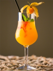 Cocktail Floc de Gascogne Lou Gascoun
Photo : © Clin d'oeil / Patrice Lubet