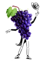 Recette Raisin (08/2015)