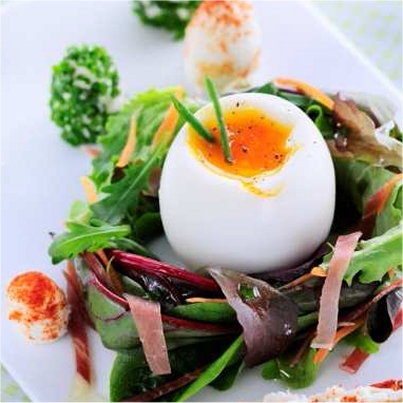 Nid de jeunes pousses et son oeuf mollet
Photo : © Marque Repère