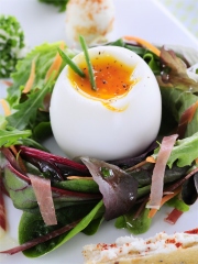 Nid de jeunes pousses et son oeuf mollet