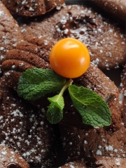 Madeleines au Chocolat Fondant