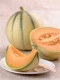 Recettes avec du Melon