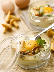 Mini cocotte aux champignons des bois
Photo : © Philippe Asset / CNPO