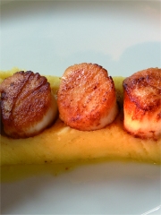 Ecrasé de Dolwen® à l'huile de truffe et Saint-Jacques
Photo : © Bernard Galeron