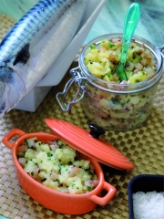 Rillettes de Dolwen® aux maquereaux
Photo : © Bernard Galeron