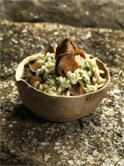 Risotto Vert aux Cèpes
Photo : © Magda
