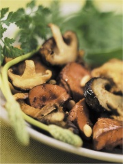 Poêlée de rognons aux champignons
Photo : © Confédération Nationale de la Triperie Française (CNTF)