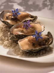 Royale d'huître de St Vaast et écume de Granny Smith
Photo : © David Arraez