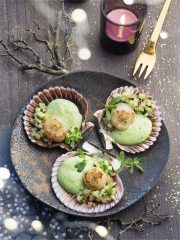 Saint-Jacques à la crème persil-cerfeuil
Photo : © Patricia Kettenhofen