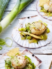 Saint-Jacques aux poireaux de Normandie et sa tuile au parmesan
Photo : © Pierre Chivoret / Alexia Janny