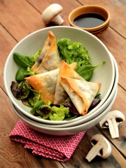 Samoussas de Boeuf, Champignons et Coriandre
Photo : © Cuisine de tous les jours