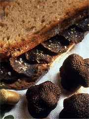 Sandwich tiède à la truffe fraîche et beurre salé
Photo : © François Roboto