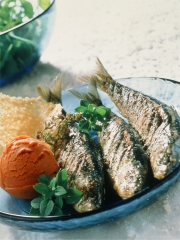 Sardines grillées à la plancha, granité de tomates...
Photo : © Philippe Asset