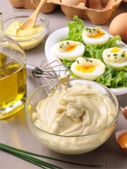 Sauce Mayonnaise
Photo : © CNPO – ADOCOM-RP – Ph. Asset