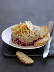 Tartare de rillettes aux petits légumes croquants
Photo : © Centre d'Information des Charcuteries-produits Traiteurs (CICT)