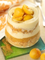Tiramisu aux Mirabelles de Lorraine
Photo : © Alain Caste / Stylisme : Faïza Mebazaa