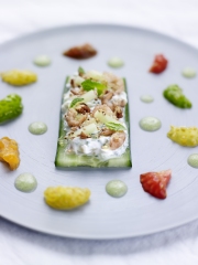 Tomates et concombres en jardin d'été