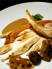 Volaille de Bresse et Crème de Morilles au Chablis
