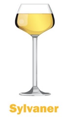 Sylvaner : un vin pour l'été