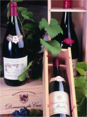 Bouteilles de Marcillac
Photo : © E.Teissedre