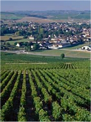 Village de Chablis
Photo : © BIVB les Vins de Chablis