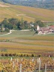 Village de Chablis
Photo : © BIVB les Vins de Chablis