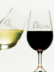 Vins du Tursan et de pays des Landes
Photo : © Cyrille-Vidal / Les Vignerons-Landais