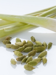 Citronnelle & Cardamome Photo : © Ducros / Studio Nicolas Louis