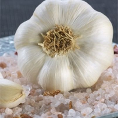 L'ail blanc de Lomagne