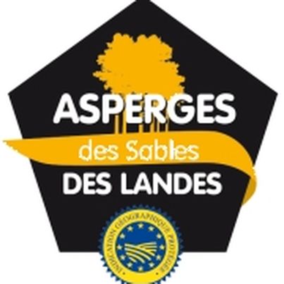 Asperges des Sables des Landes