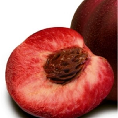 Les variétés de pêches et de nectarine