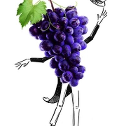 Le raisin de table